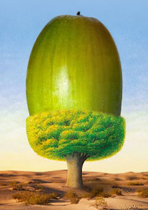 O homem que plantava árvores